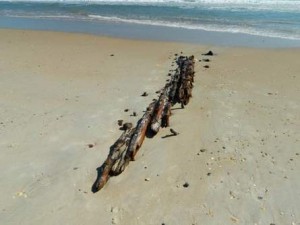 Hurricane Sandy Unearths Shipwreck Hurricane Sandy Unearths Shipwreck